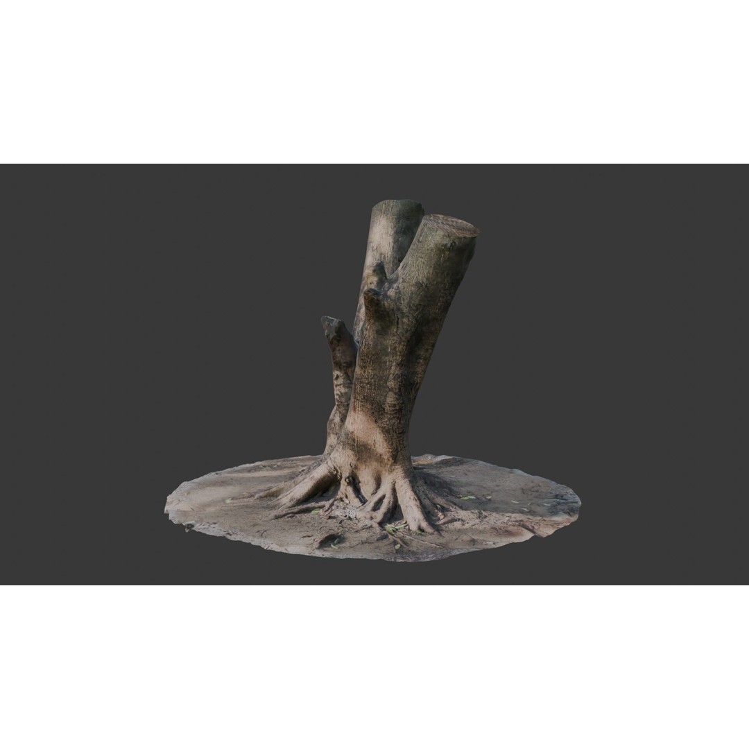 V-Shaped Tree Trunk 3D Model – Low Poly Game Asset, FBX, PBR