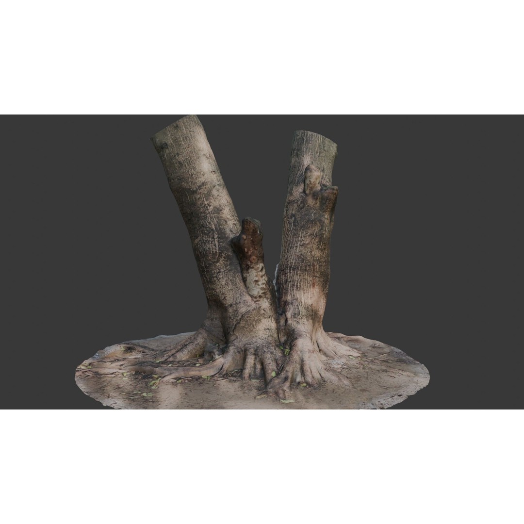 V-Shaped Tree Trunk 3D Model – Low Poly Game Asset, FBX, PBR - View 3