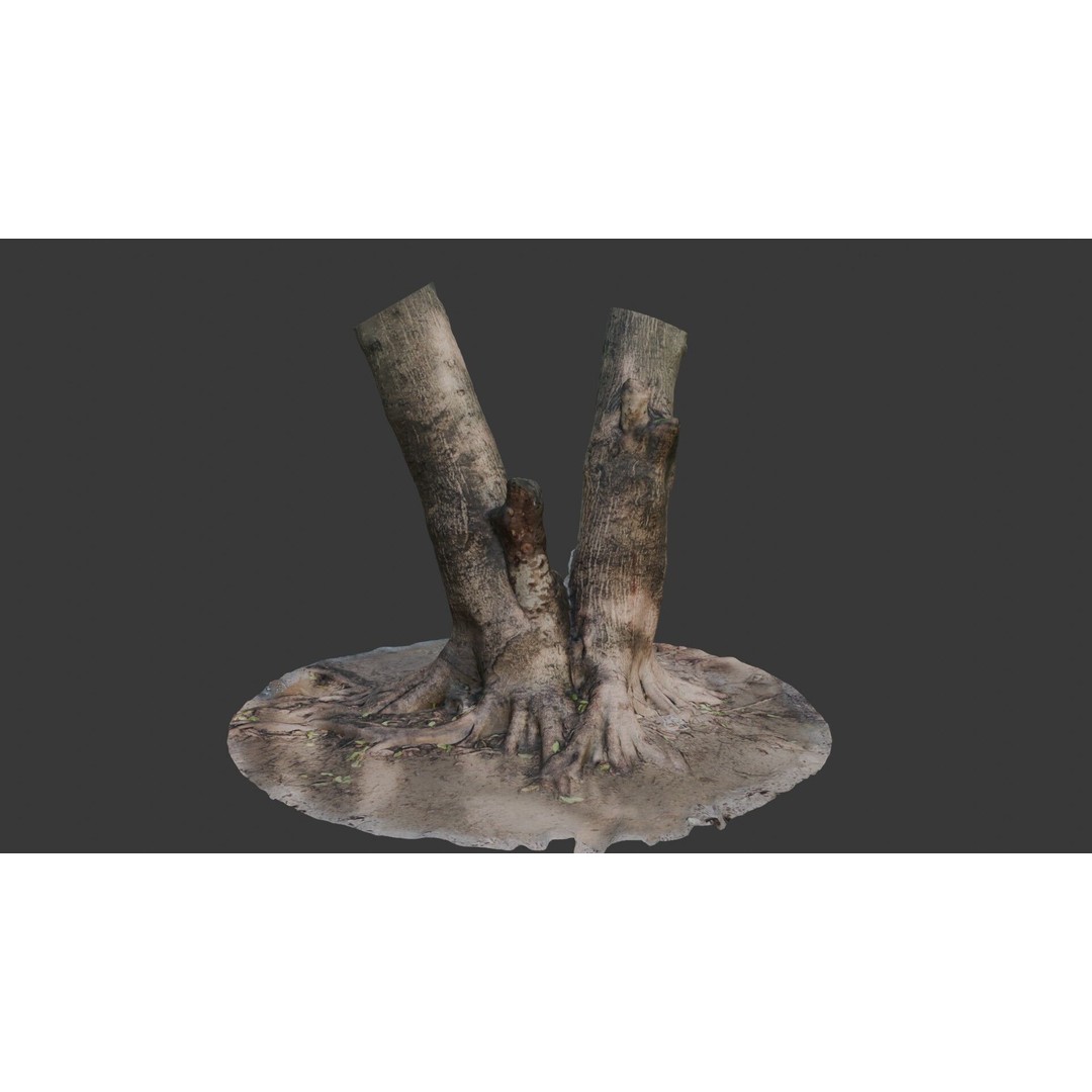 V-Shaped Tree Trunk 3D Model – Low Poly Game Asset, FBX, PBR - View 6