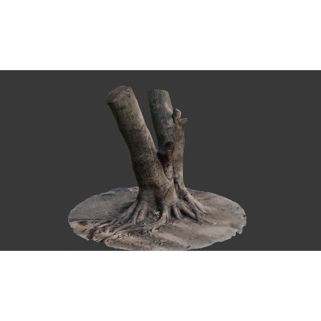 V-Shaped Tree Trunk 3D Model – Low Poly Game Asset, FBX, PBR - View 7