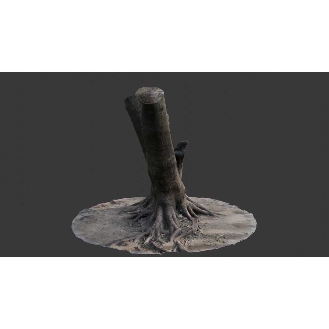 V-Shaped Tree Trunk 3D Model – Low Poly Game Asset, FBX, PBR - View 8