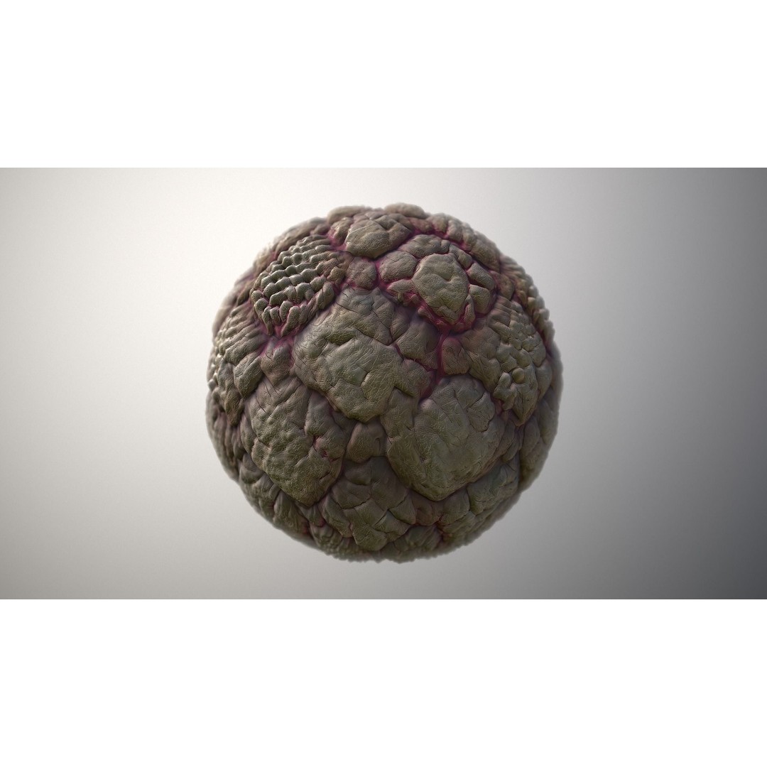Skin Monster 3D Model – Seamless PBR Texture Pack for Game Assets - View 5