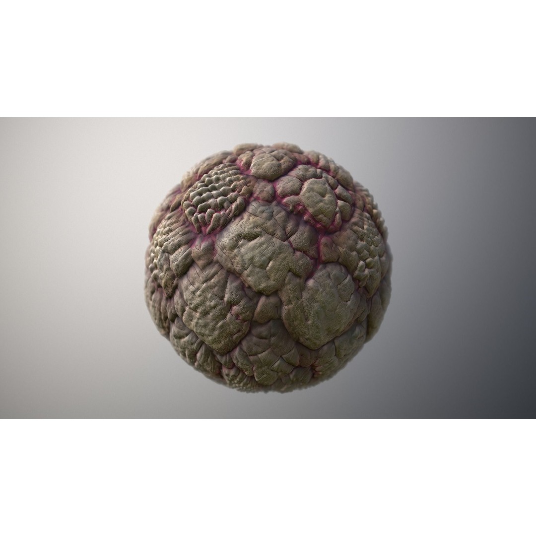 Skin Monster 3D Model – Seamless PBR Texture Pack for Game Assets - View 6