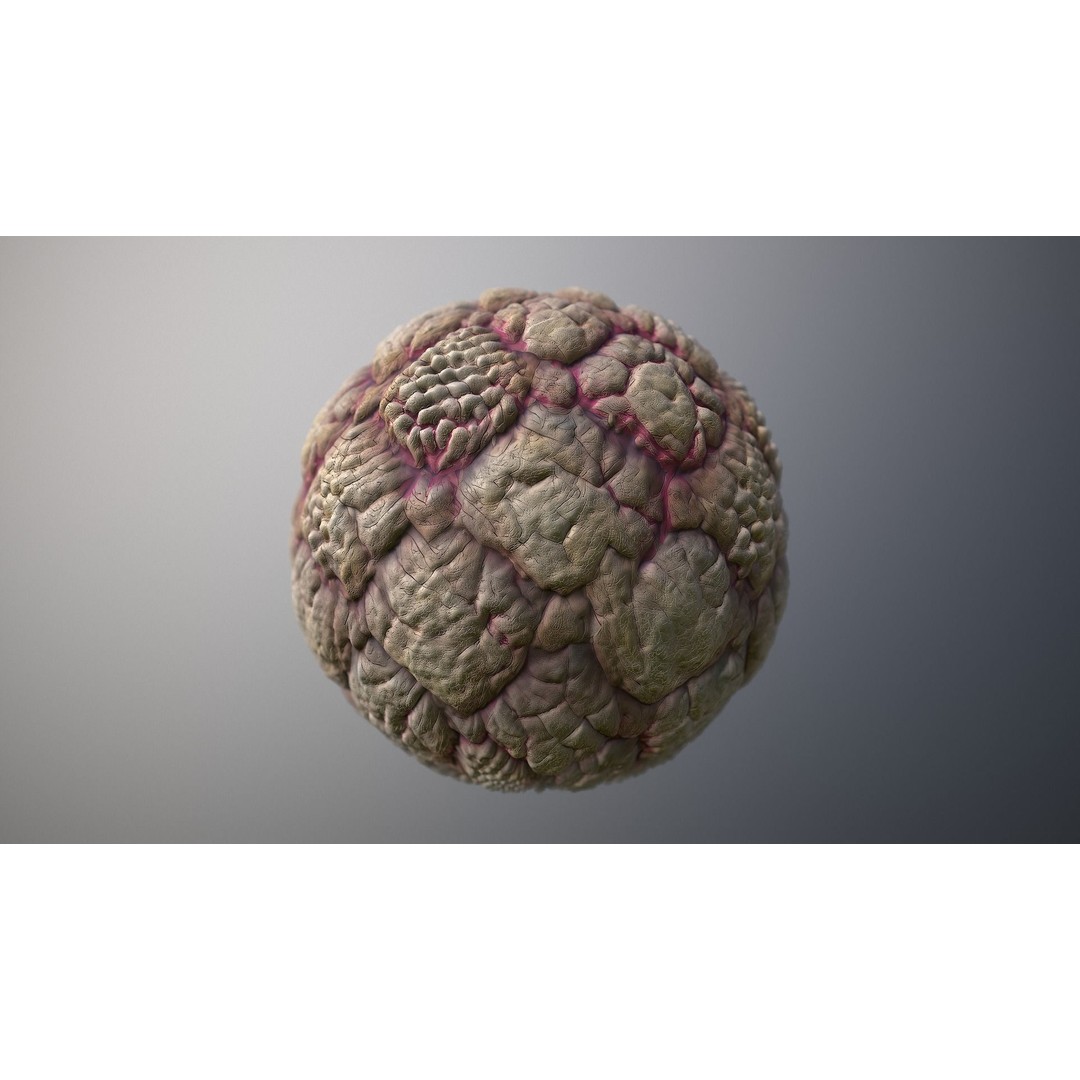 Skin Monster 3D Model – Seamless PBR Texture Pack for Game Assets - View 7