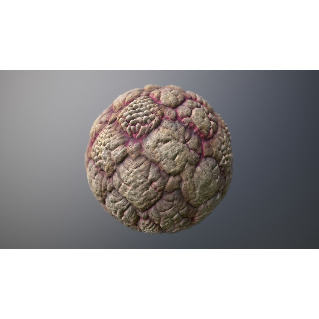 Skin Monster 3D Model – Seamless PBR Texture Pack for Game Assets - View 8
