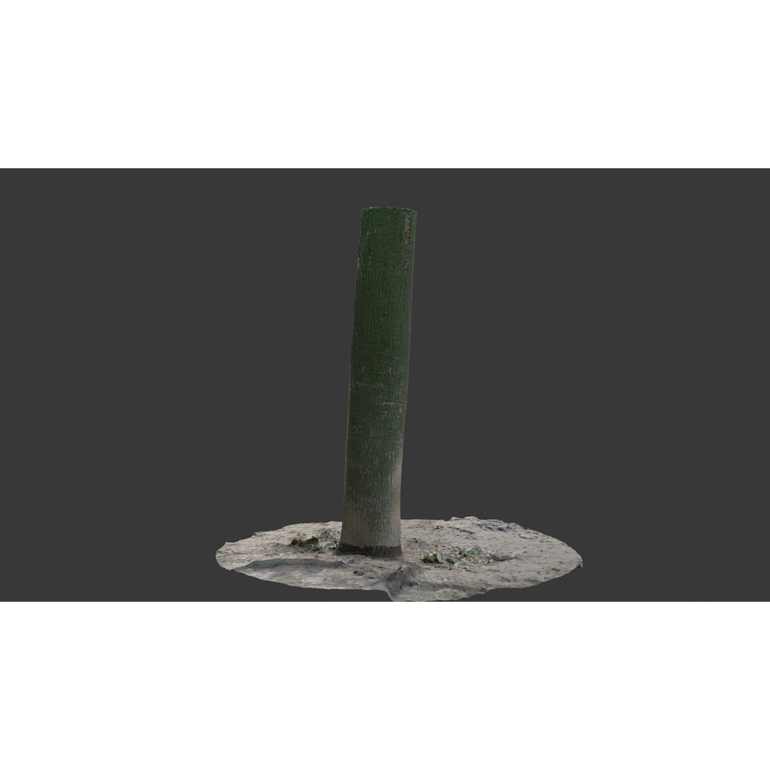 Green Tree Trunk 3D Model – Low Poly, PBR Textures, Game Ready