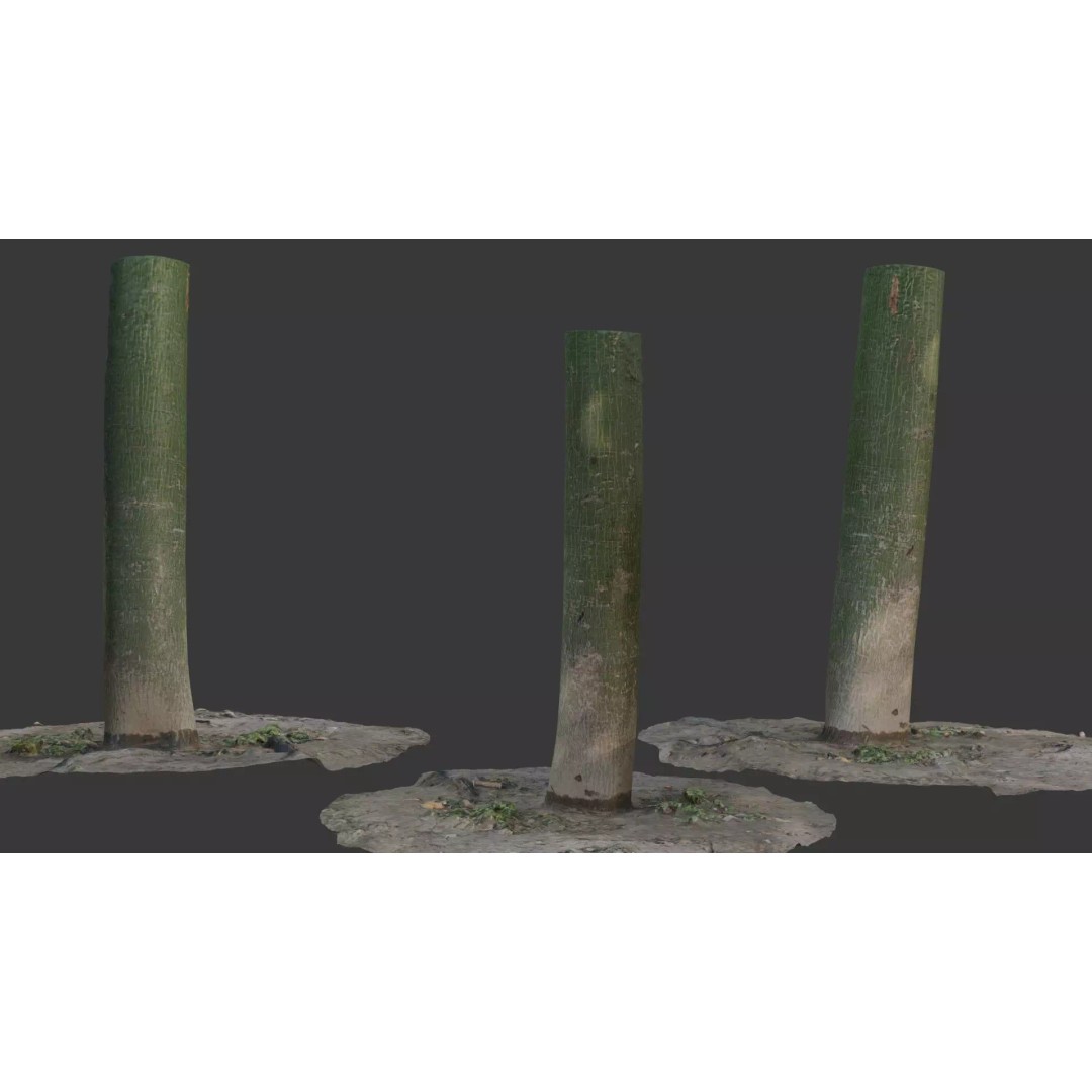 Green Tree Trunk 3D Model – Low Poly, PBR Textures, Game Ready - View 2