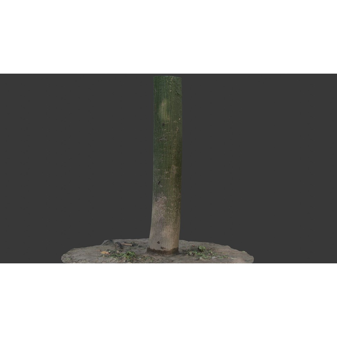 Green Tree Trunk 3D Model – Low Poly, PBR Textures, Game Ready - View 3