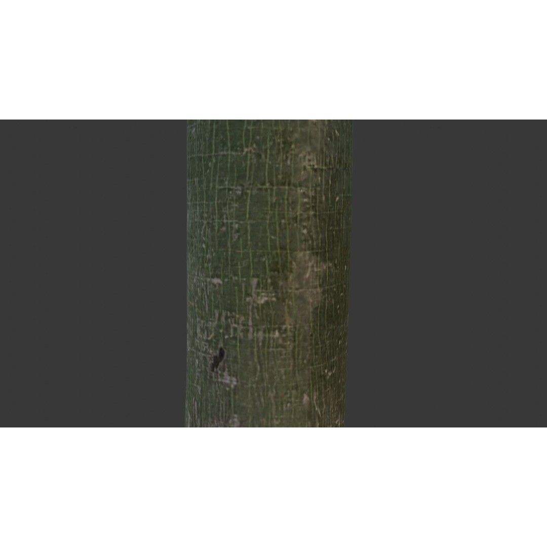 Green Tree Trunk 3D Model – Low Poly, PBR Textures, Game Ready - View 5