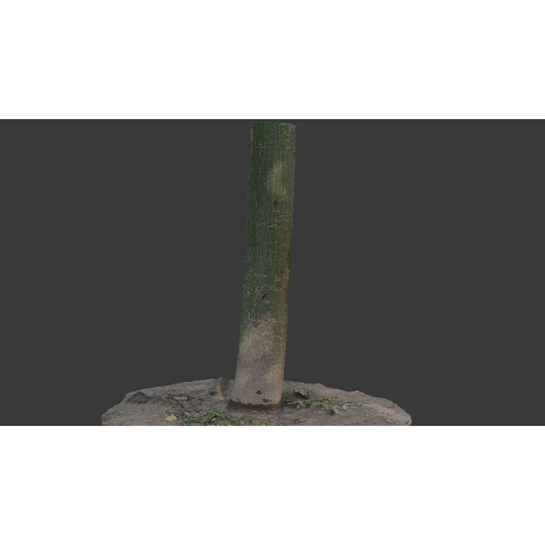 Green Tree Trunk 3D Model – Low Poly, PBR Textures, Game Ready - View 6