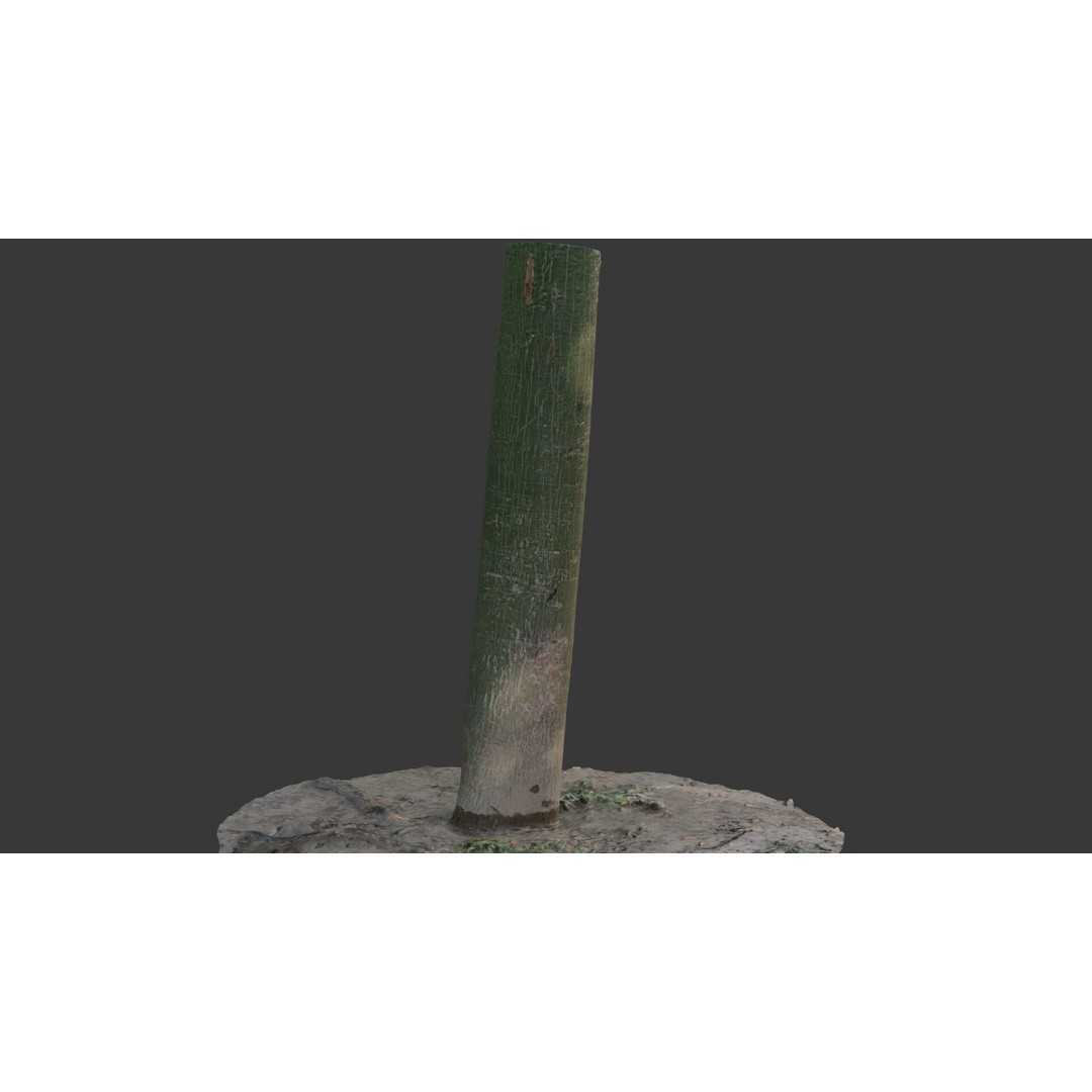 Green Tree Trunk 3D Model – Low Poly, PBR Textures, Game Ready - View 7
