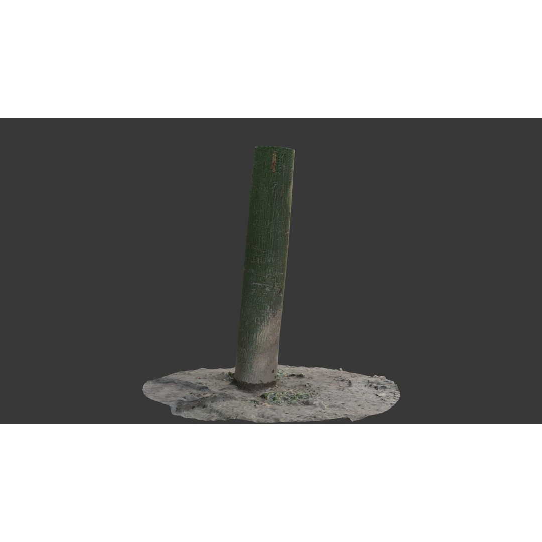 Green Tree Trunk 3D Model – Low Poly, PBR Textures, Game Ready - View 8