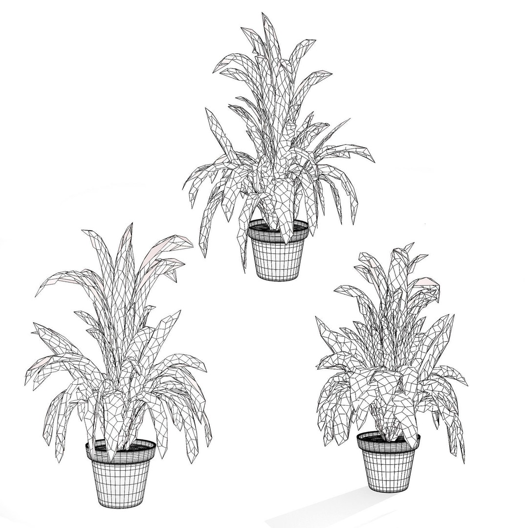 Bromeliad 3D Model – Low Poly Plant with PBR Textures, FBX, Blender