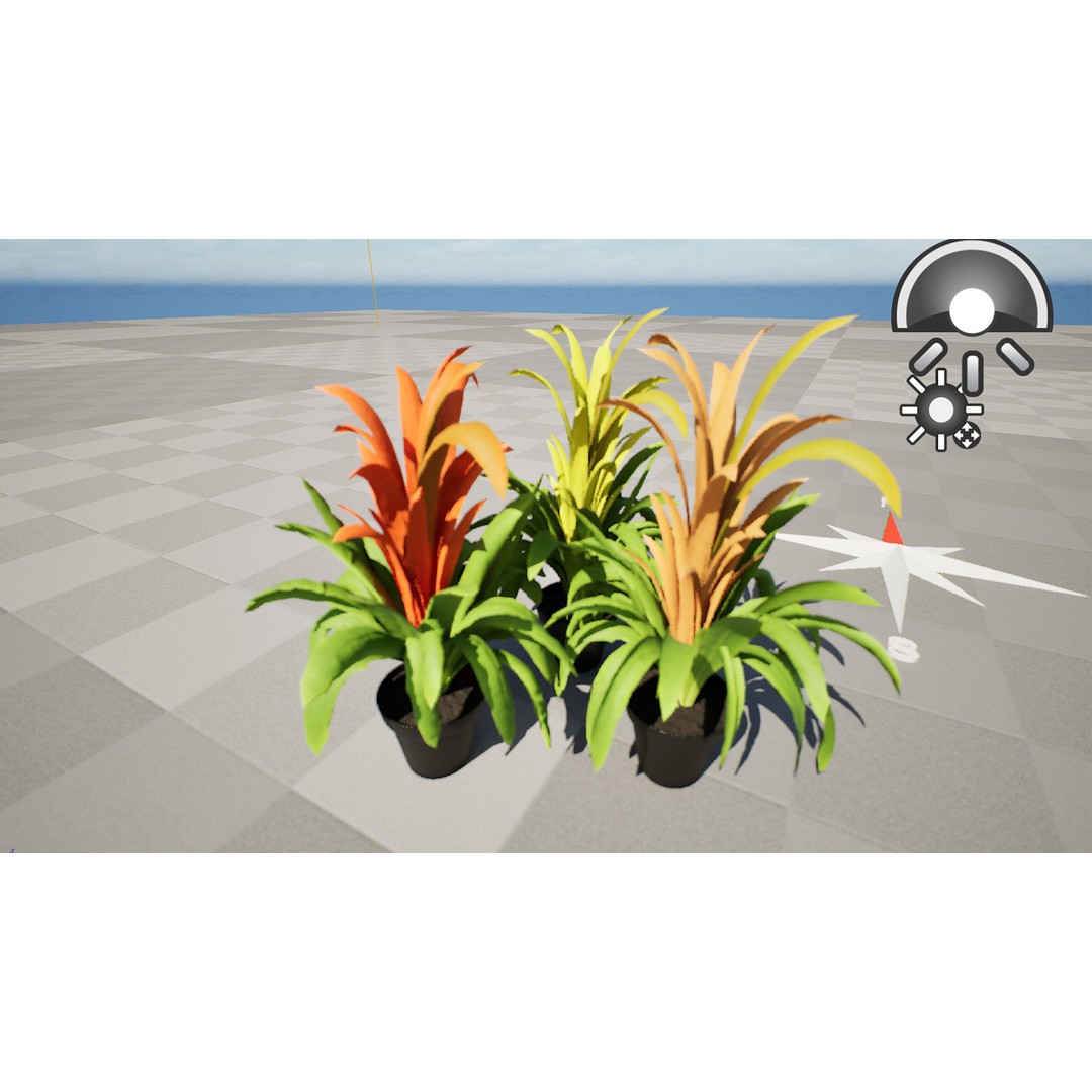 Bromeliad 3D Model – Low Poly Plant with PBR Textures, FBX, Blender - View 8