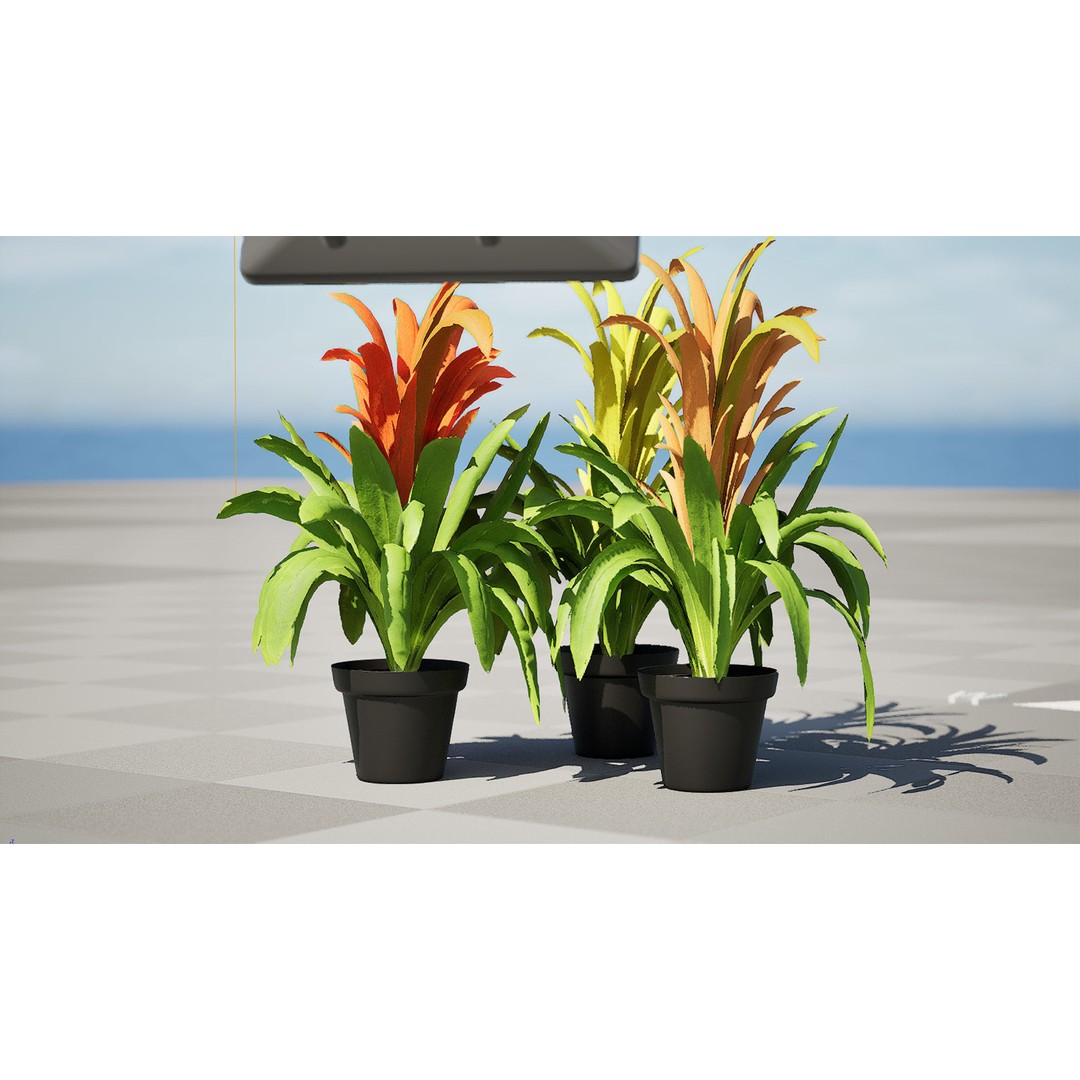 Bromeliad 3D Model – Low Poly Plant with PBR Textures, FBX, Blender - View 9