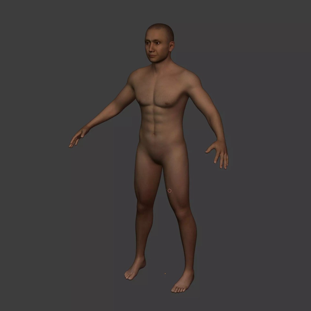 Muscle Anatomy Man 3D Model – Rigged Low-Poly Character with Textures - View 10
