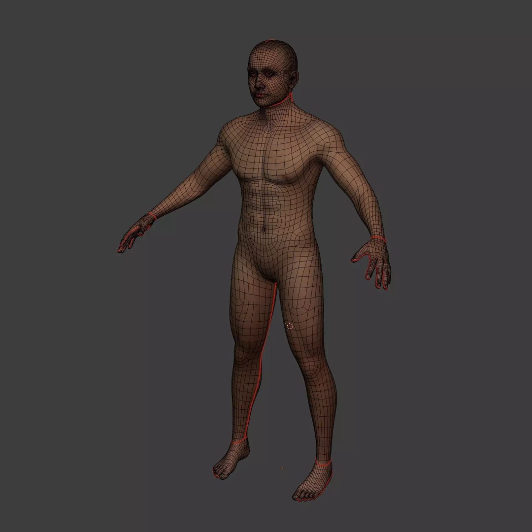 Muscle Anatomy Man 3D Model – Rigged Low-Poly Character with Textures - View 11