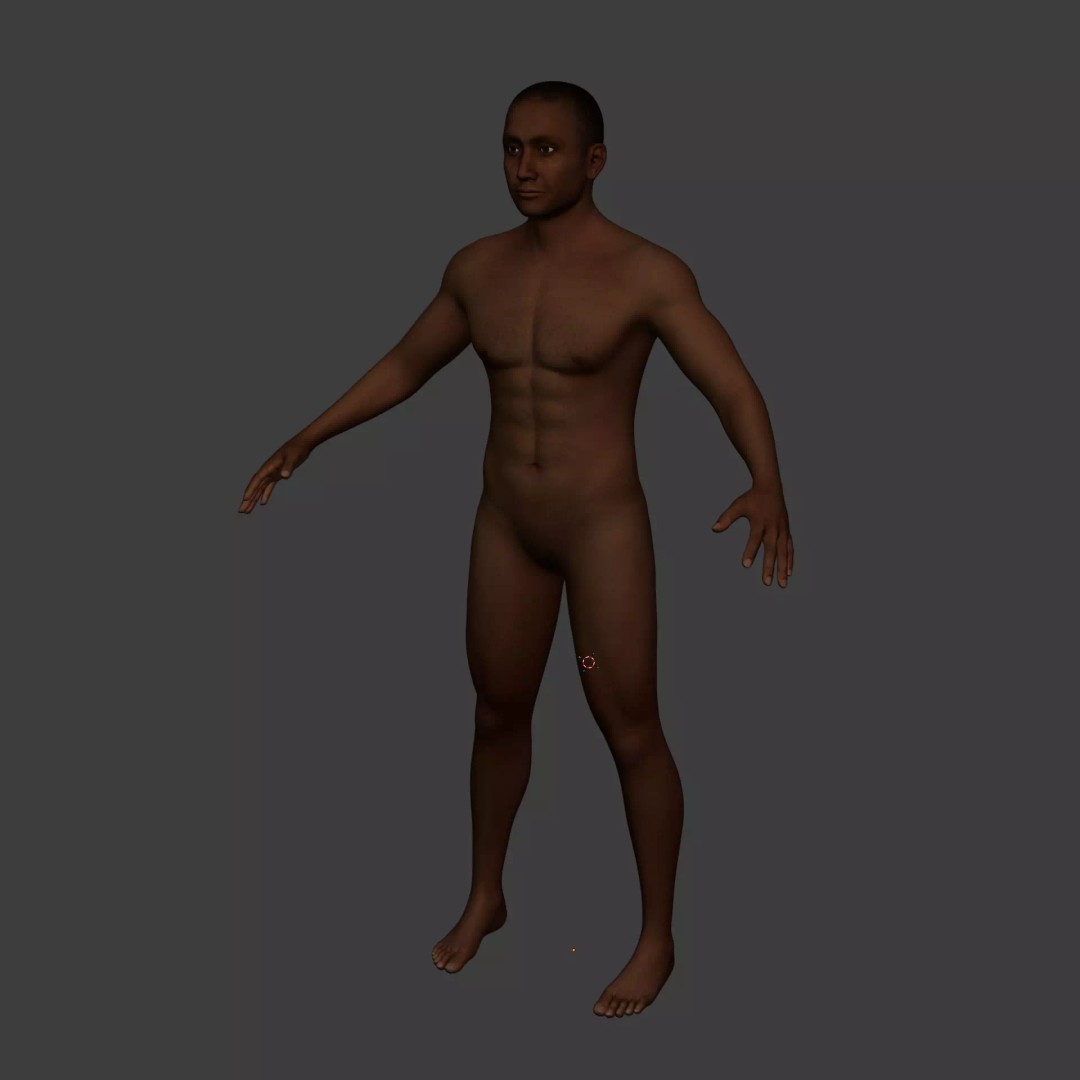 Muscle Anatomy Man 3D Model – Rigged Low-Poly Character with Textures - View 13