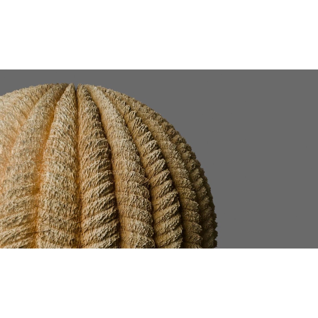 Rope 3D Model – Seamless PBR Texture, Game-Ready, FBX - View 3