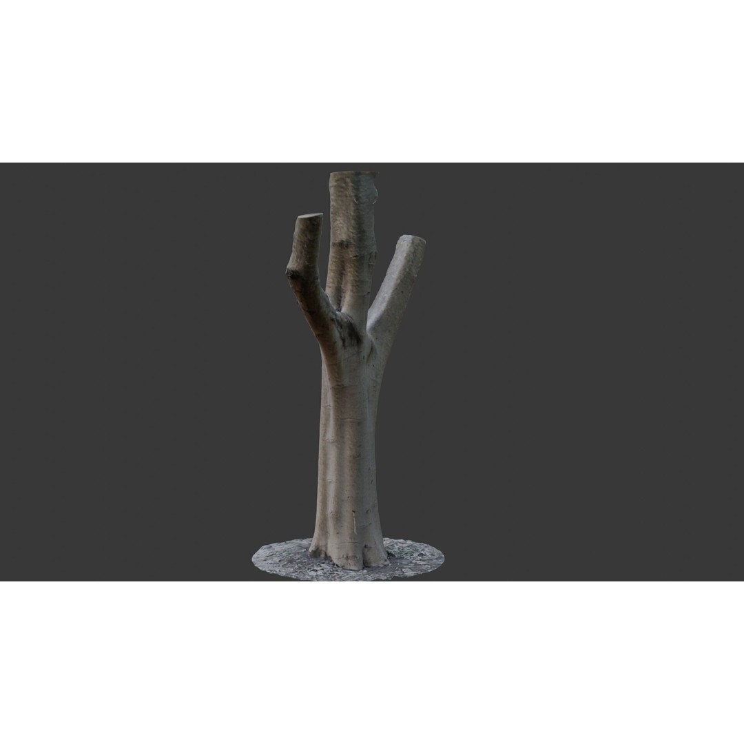 Forked Tree Trunk 3D Model – Low Poly Game Asset, PBR Textures, FBX
