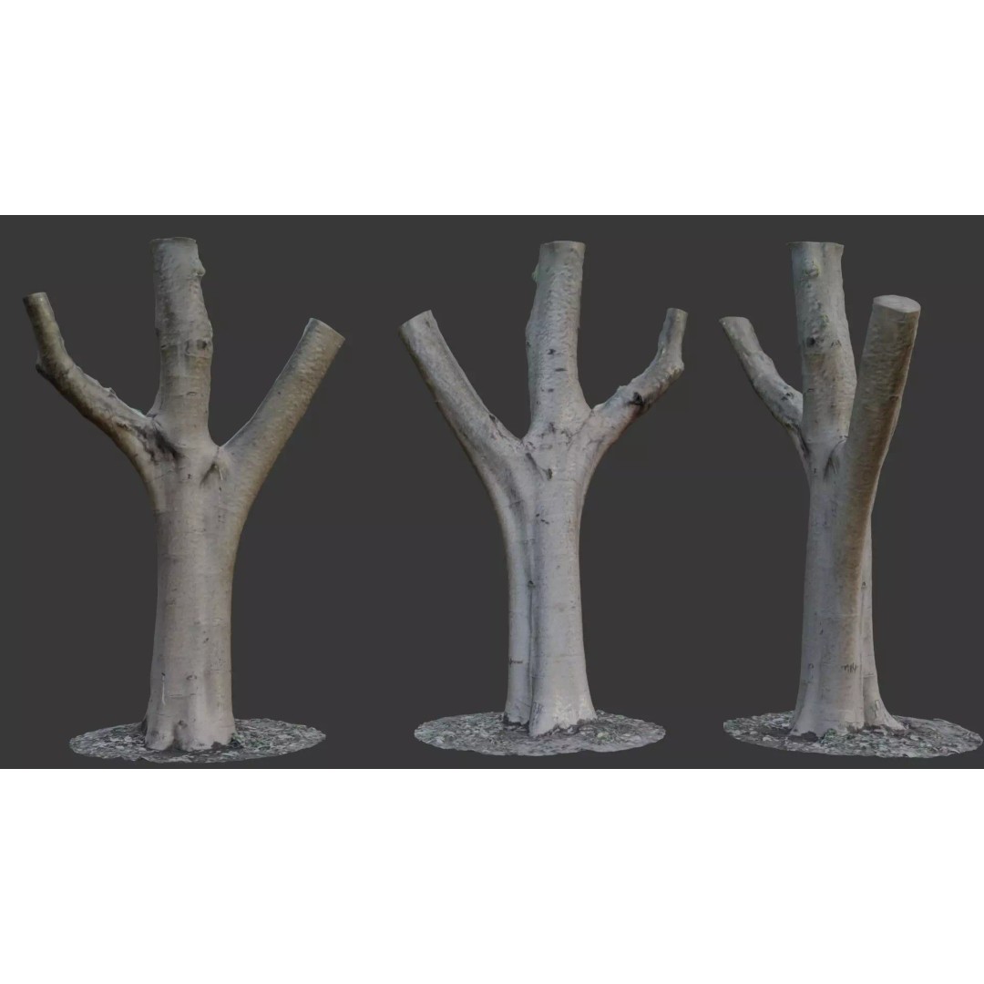 Forked Tree Trunk 3D Model – Low Poly Game Asset, PBR Textures, FBX - View 2