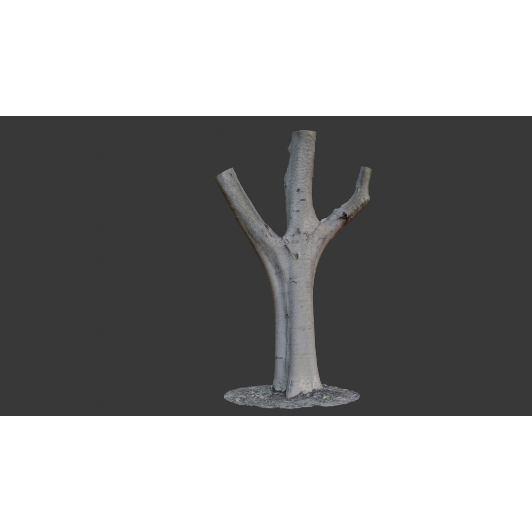 Forked Tree Trunk 3D Model – Low Poly Game Asset, PBR Textures, FBX - View 3