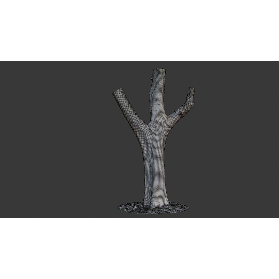 Forked Tree Trunk 3D Model – Low Poly Game Asset, PBR Textures, FBX - View 4