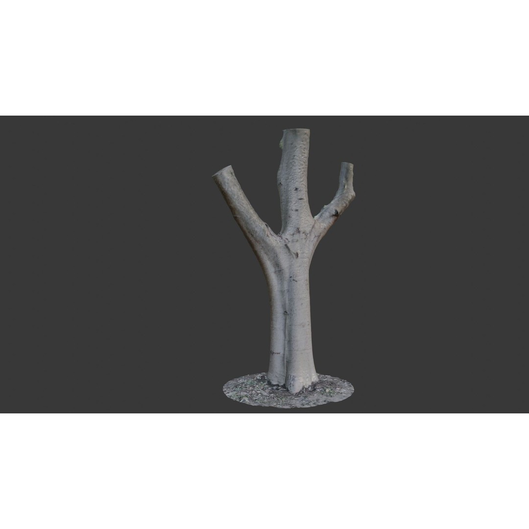 Forked Tree Trunk 3D Model – Low Poly Game Asset, PBR Textures, FBX - View 6
