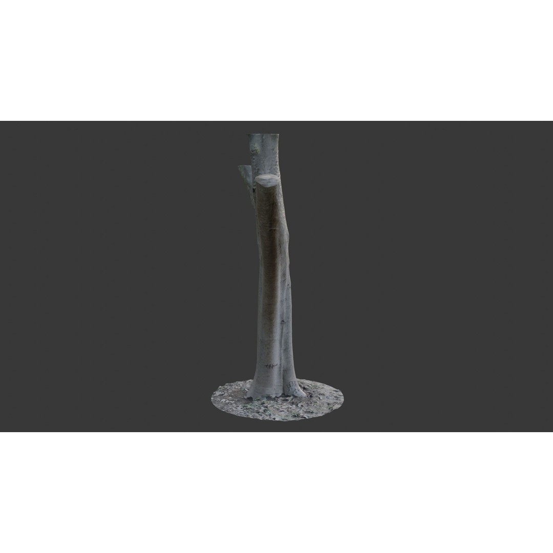 Forked Tree Trunk 3D Model – Low Poly Game Asset, PBR Textures, FBX - View 7