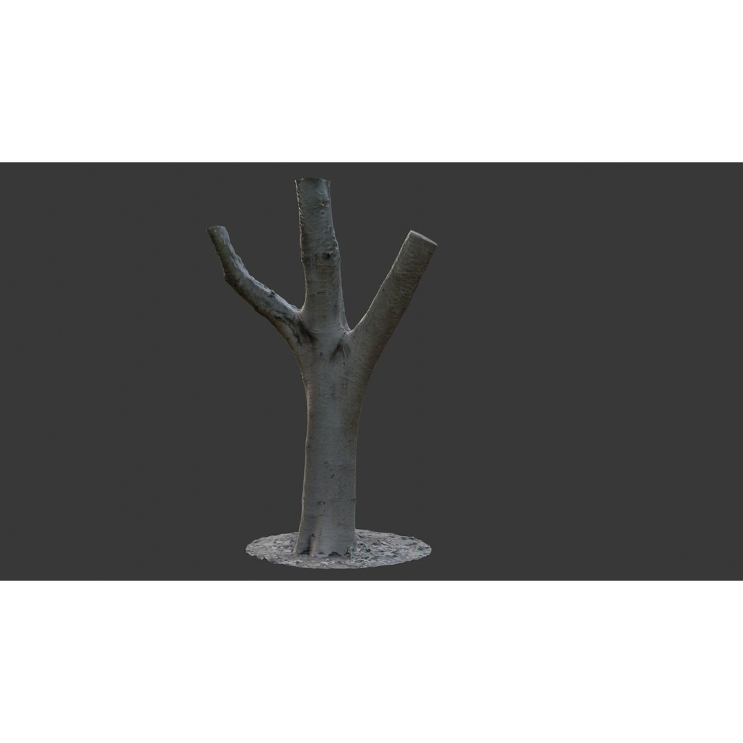Forked Tree Trunk 3D Model – Low Poly Game Asset, PBR Textures, FBX - View 8