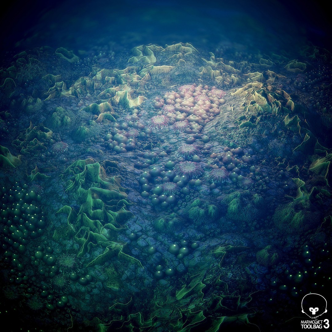 Coral Reef 3D Model – PBR Tileable Texture for Underwater Scenes - View 10