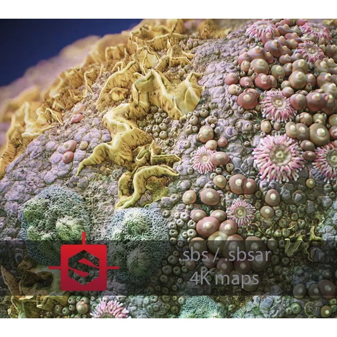 Coral Reef 3D Model – PBR Tileable Texture for Underwater Scenes - View 2