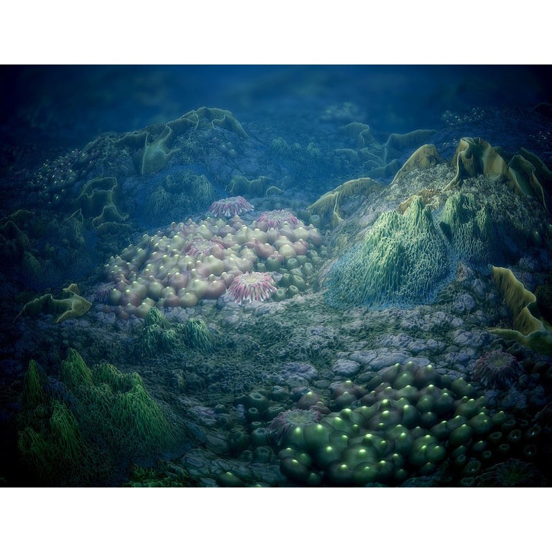 Coral Reef 3D Model – PBR Tileable Texture for Underwater Scenes - View 6