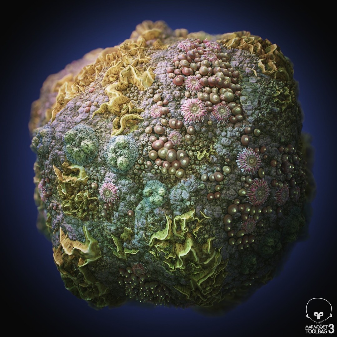 Coral Reef 3D Model – PBR Tileable Texture for Underwater Scenes - View 7
