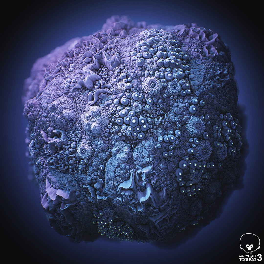 Coral Reef 3D Model – PBR Tileable Texture for Underwater Scenes - View 8