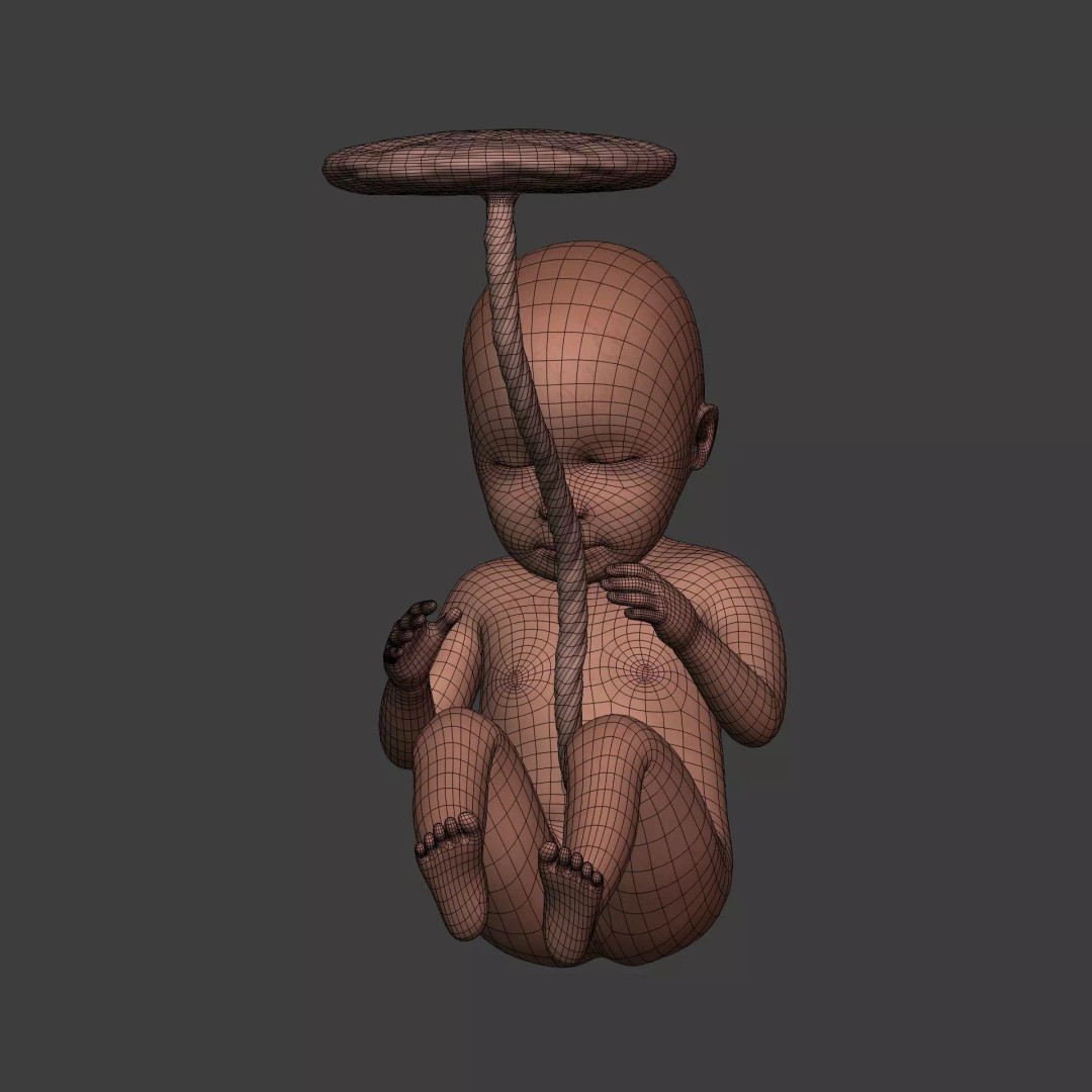 Human Fetus 3D Model – Textured Low Poly Anatomy Asset, Blender - View 10