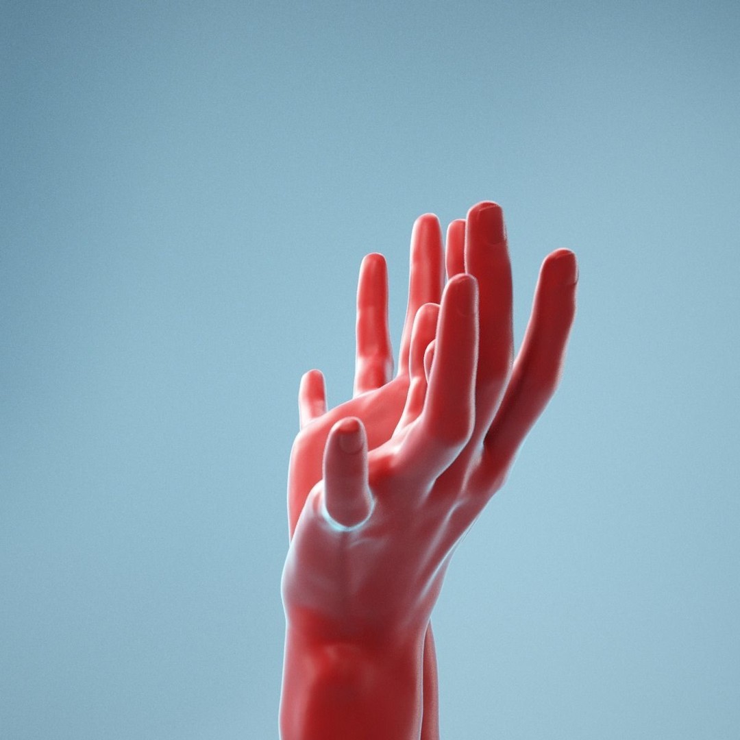 Realistic Hands 3D Model – High Poly Photogrammetry Asset, FBX, OBJ - View 11
