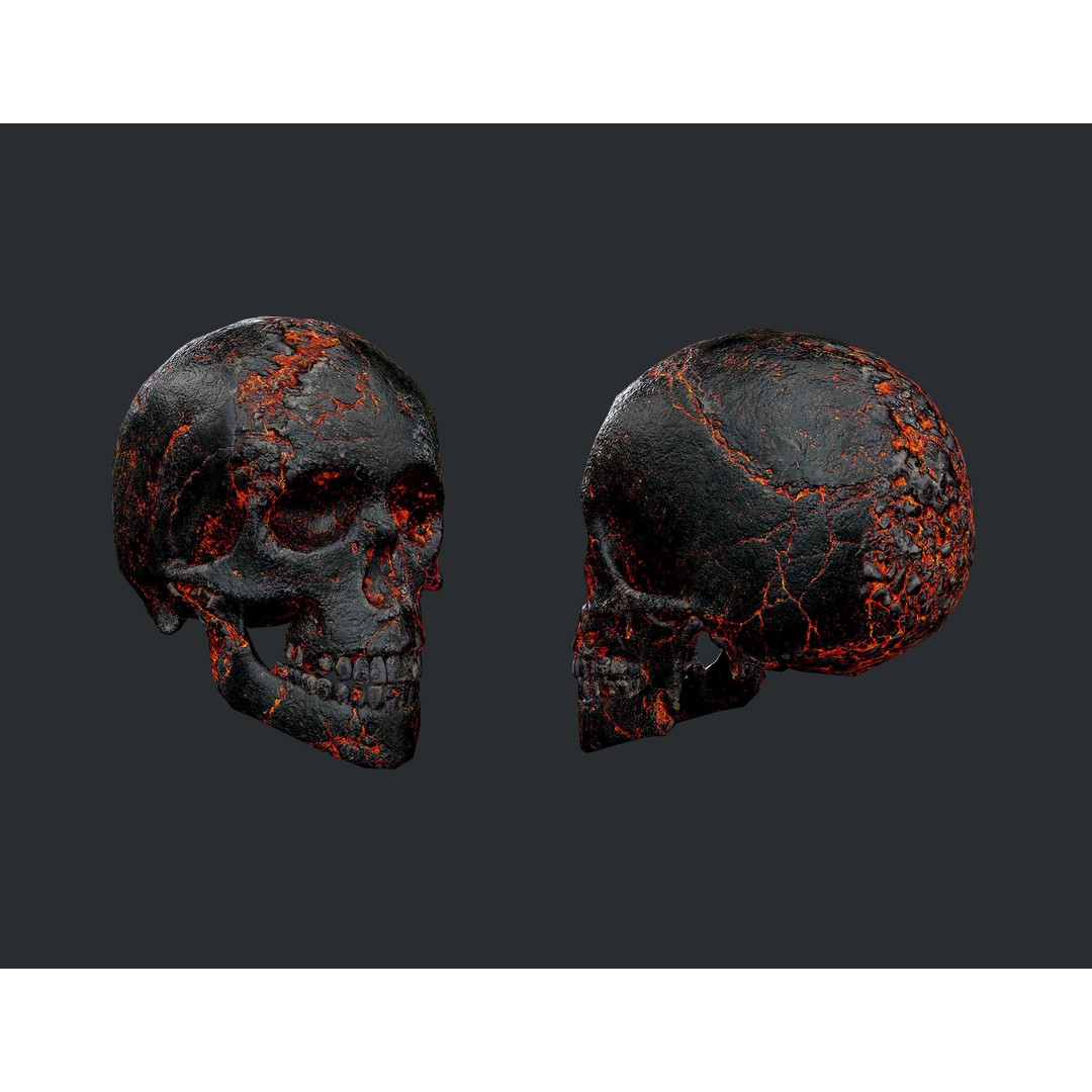 Skull 3D Model Pack – Low Poly Game Ready PBR Textures, FBX