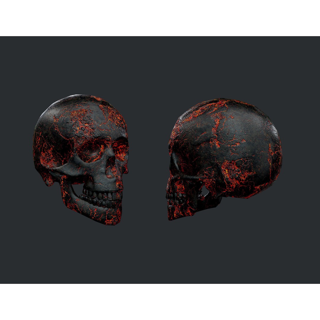 Skull 3D Model Pack – Low Poly Game Ready PBR Textures, FBX - View 4
