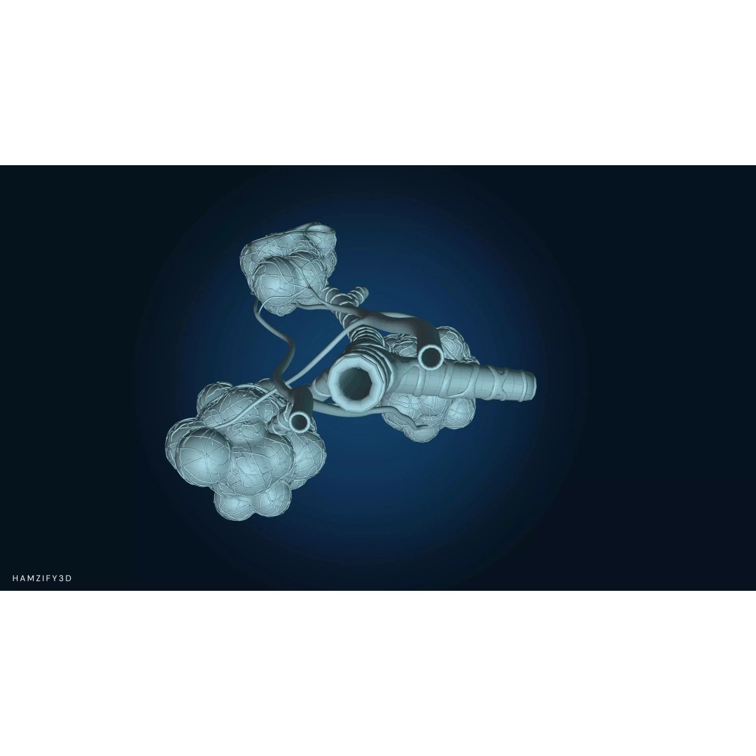 Alveolar Sacs 3D Model – Low Poly Human Respiratory System, FBX