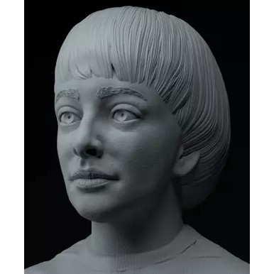 Stranger Things 3D Model – Premium Bust Collection, STL