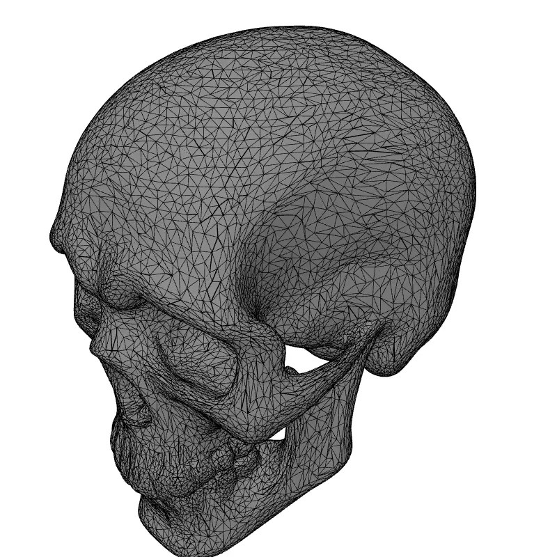 Weathered Human Skull 3D Model – Low Poly Game Asset, FBX, PBR Textures