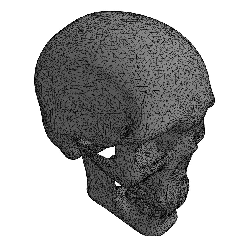 Weathered Human Skull 3D Model – Low Poly Game Asset, FBX, PBR Textures - View 3