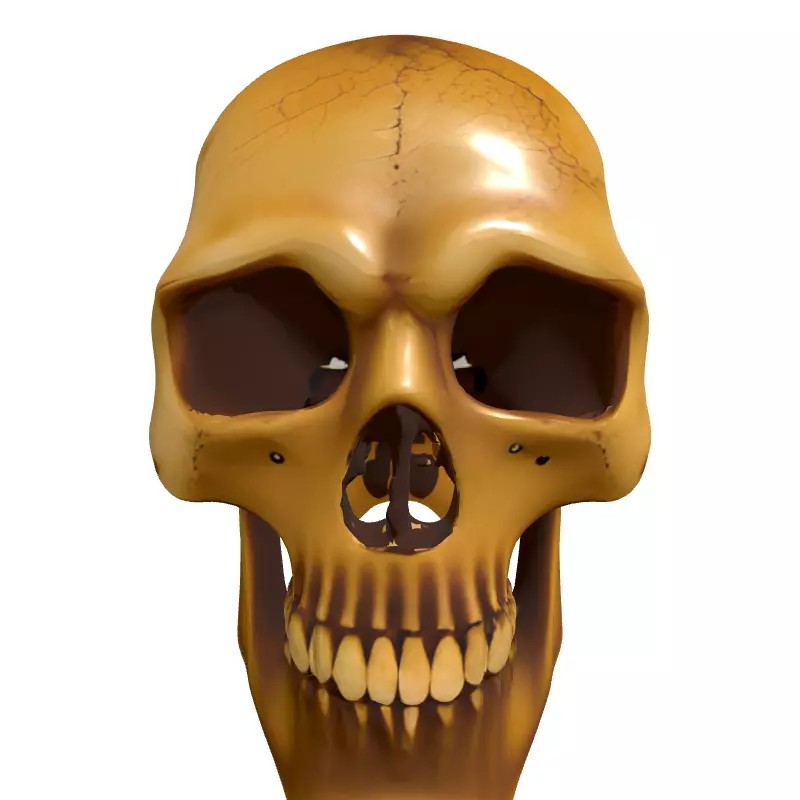 Weathered Human Skull 3D Model – Low Poly Game Asset, FBX, PBR Textures - View 6