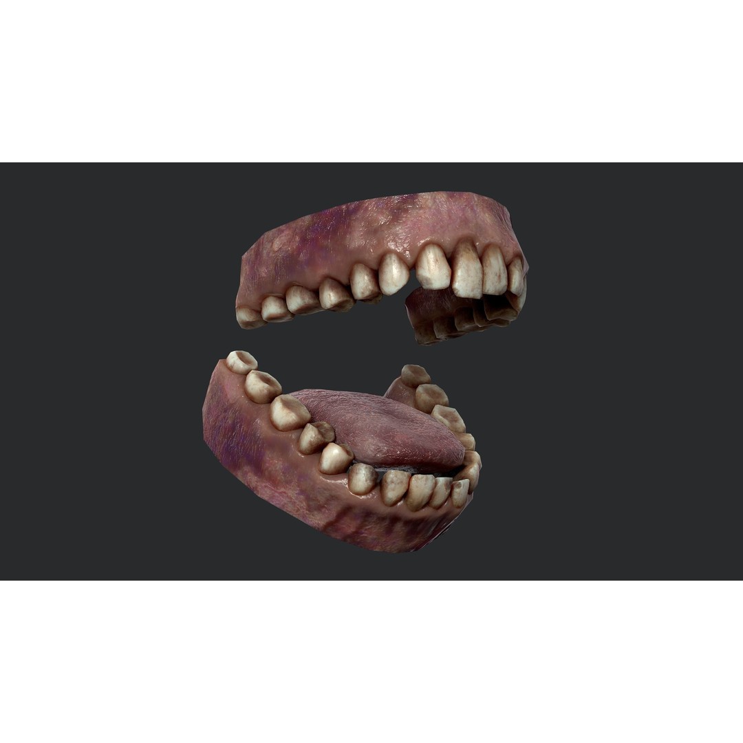 Rotten Teeth and Gums 3D Model – Low Poly Character Asset, FBX - View 10