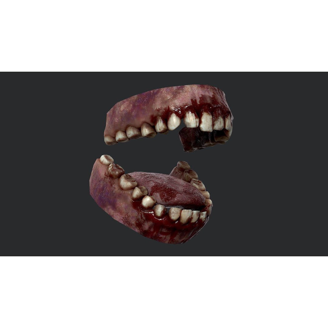 Rotten Teeth and Gums 3D Model – Low Poly Character Asset, FBX - View 11