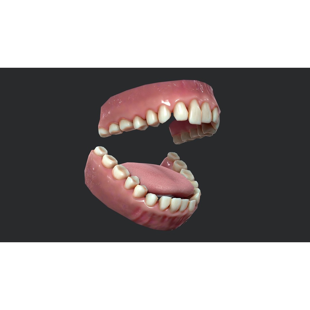 Rotten Teeth and Gums 3D Model – Low Poly Character Asset, FBX - View 8