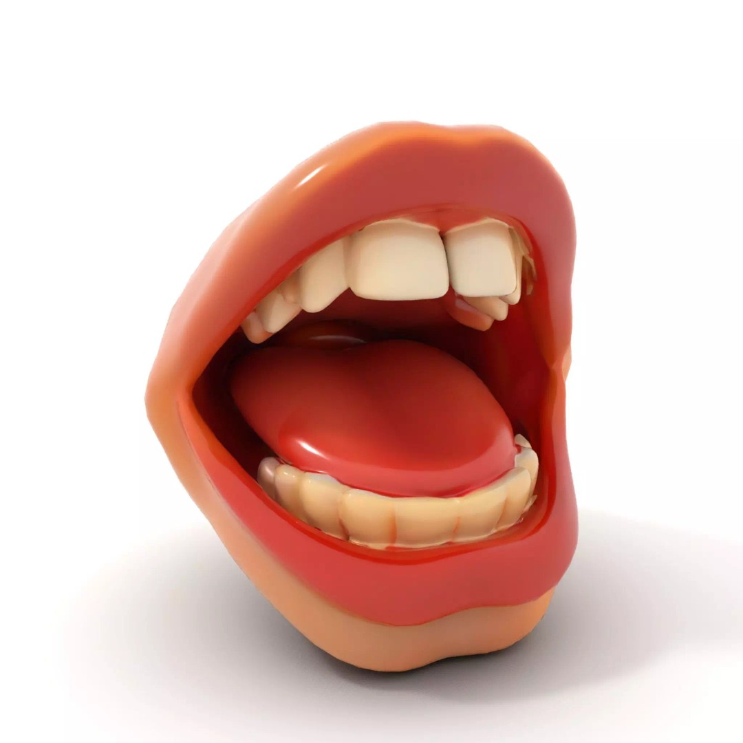 Realistic Human Mouth 3D Model – Low Poly PBR Asset, FBX - View 12