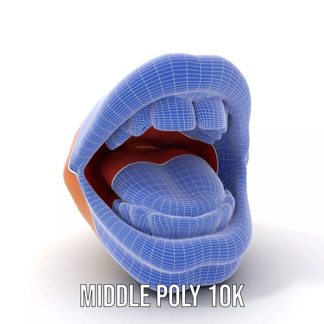 Realistic Human Mouth 3D Model – Low Poly PBR Asset, FBX - View 17