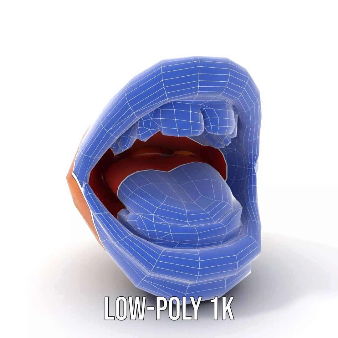 Realistic Human Mouth 3D Model – Low Poly PBR Asset, FBX - View 21